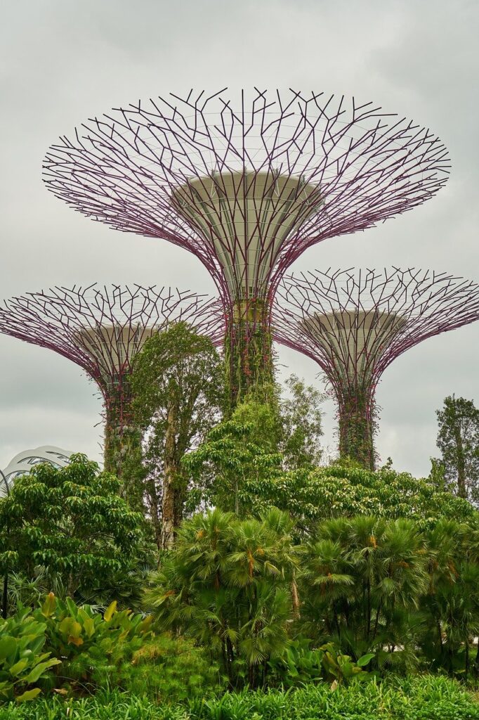 plant, singapore, park